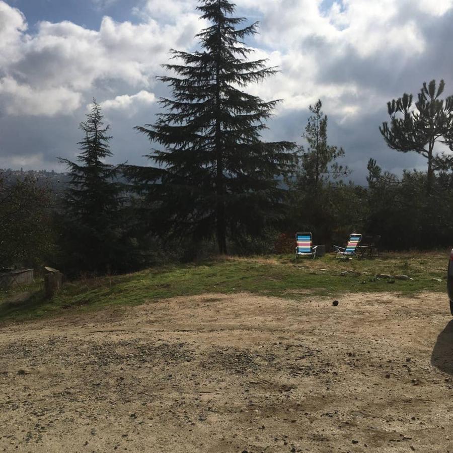 Sequoia Forest Retreat Badger Exteriör bild